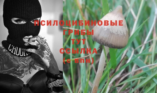 стаф Лиски